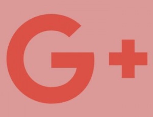 How to show Google+ elements in WordPress
