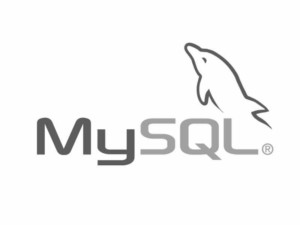 Programming Language | MySQL