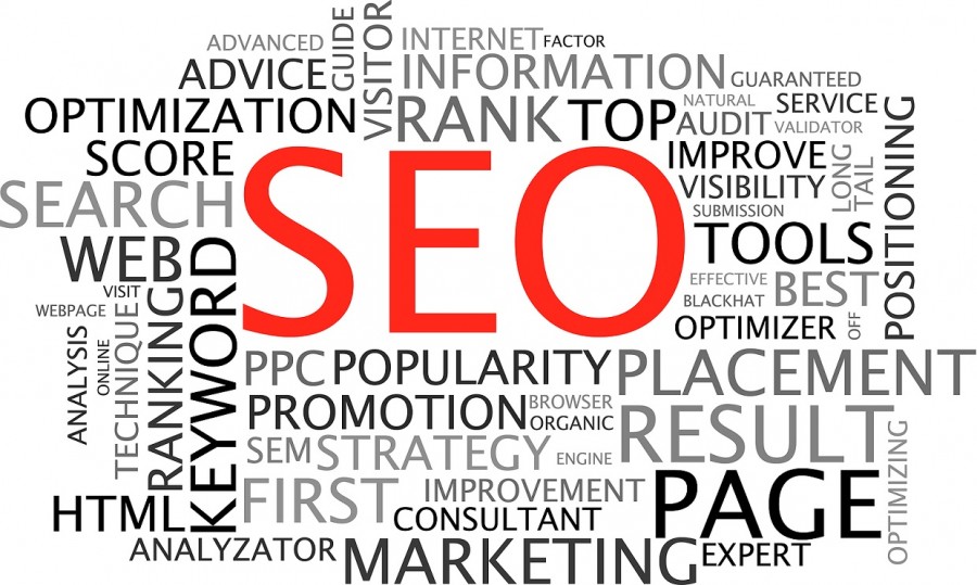 programa seo